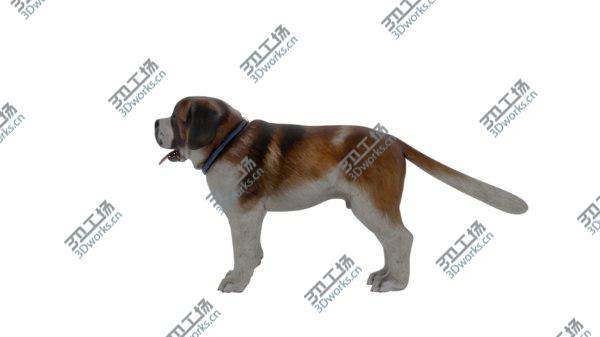 images/goods_img/20210312/3D model Sumo The Dog(1)/2.jpg